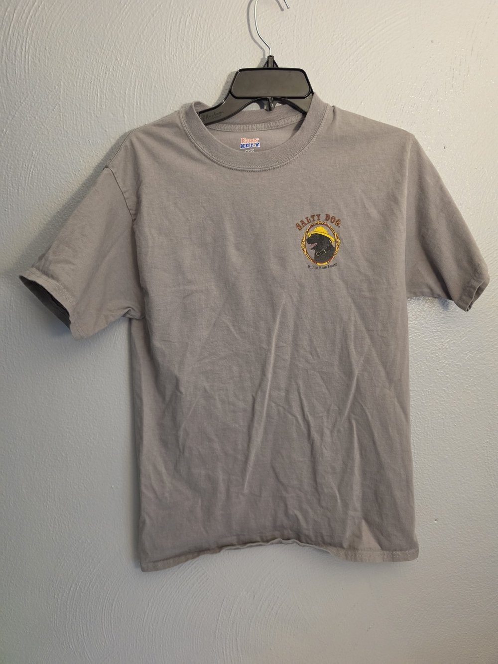 Hanes Short Sleeve Tee in Light Gray with Small Chest Graphic